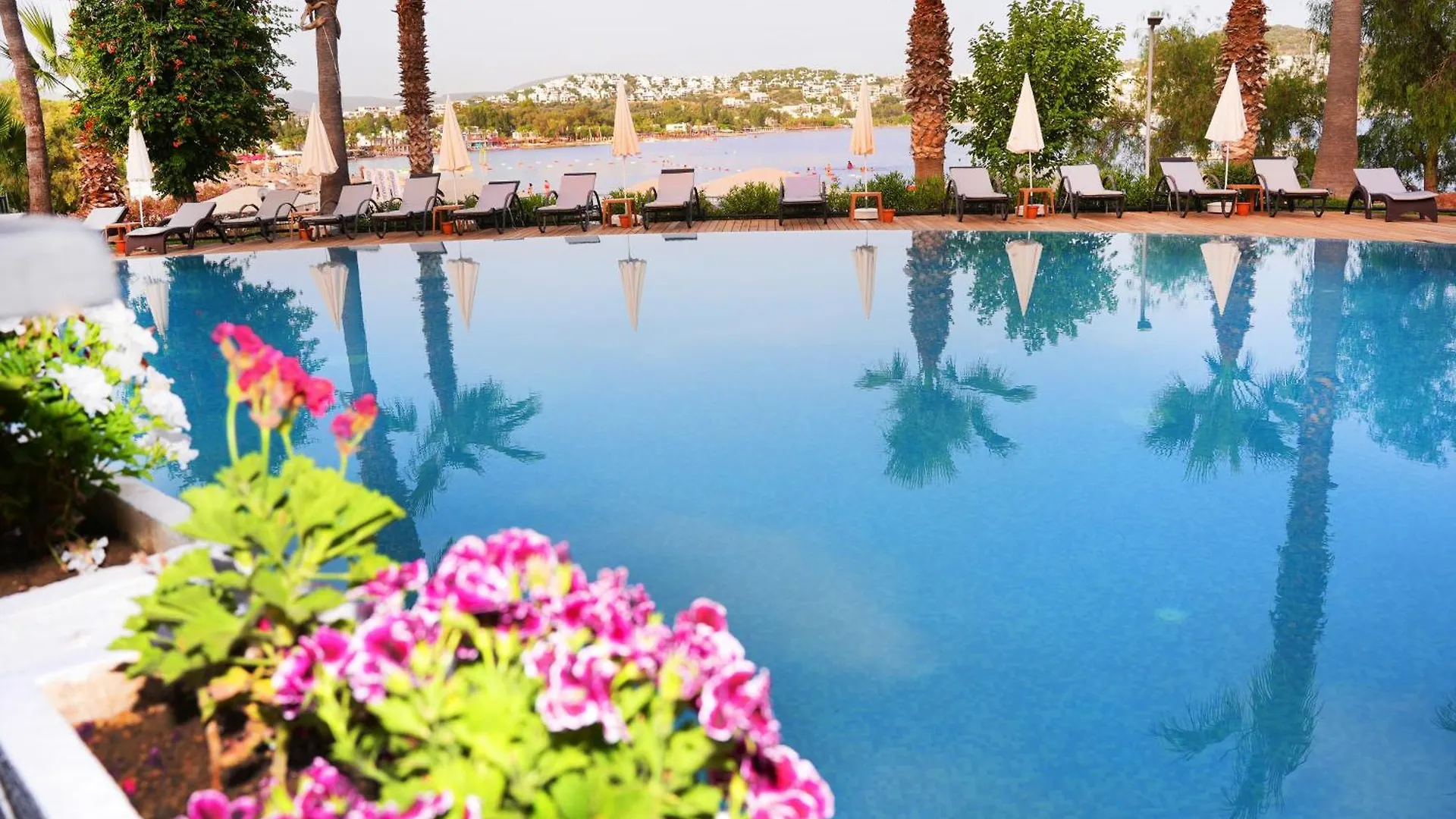 Costa 3S Beach Hotel Bitez
